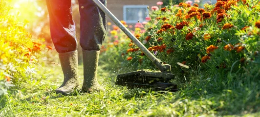 Tuinposter Geel the gardener mows the grass with a trimmer