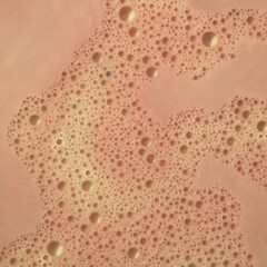 Pink background decorated with tiny little soap bubbles of white color abstract whole