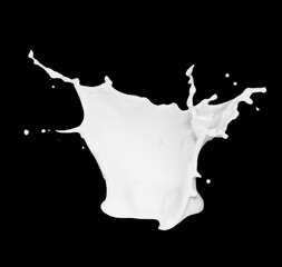 Pure milk splash isolated on black background. Royalty high-quality free stock photo image of overlays realistic milk splash, Hydro explosion, aqua dynamic motion element spray droplets