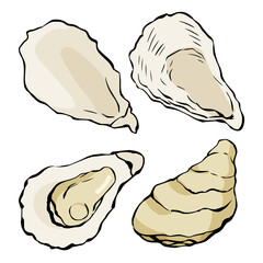 殻付き牡蠣のイラスト_4