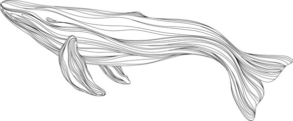 Abstract whale floating underwater. Illustration isolated animal on white background. Ocean mammal swimming.