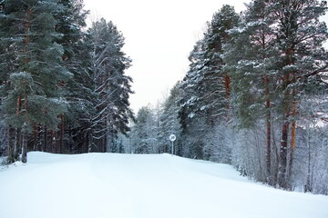 Winter road in the Russian North.