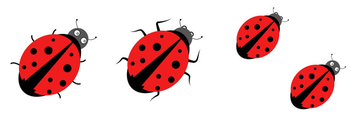 Seth is a ladybug. Ladybird vector drawing