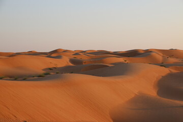 Fototapeta na wymiar Sand dunes (Oman)