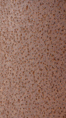 textured background of a rusty plate