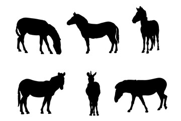 Set of silhouettes of zebra vector design