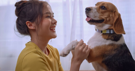 Young woman having fun playing with her dog on sofa at home.