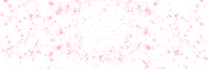 春爛漫、桜満開桜吹雪が舞うシンプルな背景イラストと白背景
