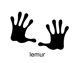 Lemur paw print icon. Lemur footprint steps. Simple illustration of lemur paw print. Vector silhouette illustration isolated on white background - obrazy, fototapety, plakaty