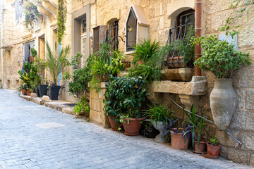 One of Madina city streets with a lot of plants