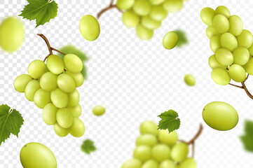 Falling juicy ripe grape with green leaves isolated on transparent background. Flying bunches of grapes with blurry effect. Can be used for wallpaper, banner, poster, print. Realistic 3d vector design - obrazy, fototapety, plakaty