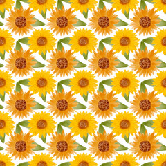 Naklejka na ściany i meble Sunflower watercolor seamless pattern. Yellow flowers garden farmhouse background. Summer flowers, autumn harvest flower with floral elements hand drawn illustration on white background