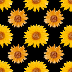 Sunflower watercolor seamless pattern. Yellow flowers garden farmhouse background. Summer flowers, autumn harvest flower with floral elements hand drawn watercolor illustration on black background
