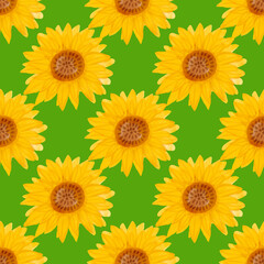 Sunflower watercolor seamless pattern. Yellow flowers garden farmhouse background. Summer flowers, autumn harvest flower with floral elements hand drawn illustration on white background