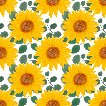 Sunflower watercolor seamless pattern. Yellow flowers garden farmhouse background. Summer flowers, autumn harvest flower with floral elements hand drawn illustration on white background