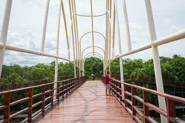 Fototapeta premium Wooden bridge along to mangrove forest for tourist to visit with white steel that to bending the curve shape or for the structure of railing with blue sky background at Rayong,Thailand.