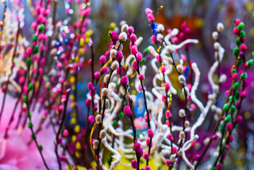 Colorful willow branches as decor for a spring or easter day - obrazy, fototapety, plakaty
