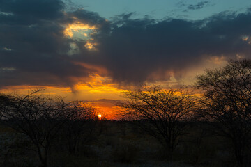 Sunrise over the Etosha National Park in Namibia.