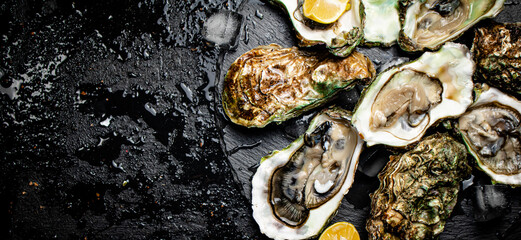 Raw oysters on a stone board. 