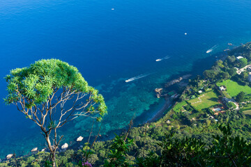 Fototapeta na wymiar Vue sur la côte depuis les escaliers de Scala Fenicia ( marches phéniciennes), Anacapri pour rejoindre Capri, Ile de Capri, Baie de Naples, Italie