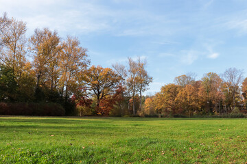 Picturesque view of park with beautiful trees and green grass on sunny day. Autumn season