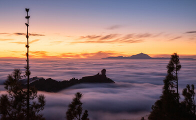 El mar de  nubes uniendo las islas de Gran Canaria y Tenerife