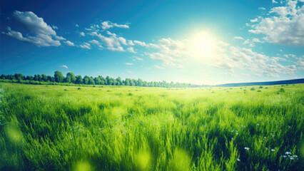 Fototapeta na wymiar Green meadow field under blue sky with clouds and sun, generative ai