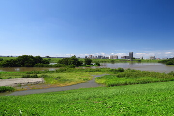 Fototapeta na wymiar 秋の台風一過の翌朝の増水した江戸川と冠水した河川敷風景