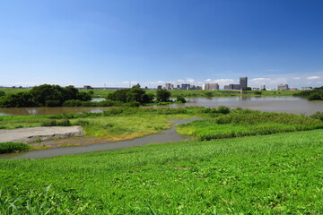 秋の台風一過の翌朝の増水した江戸川と冠水した河川敷風景