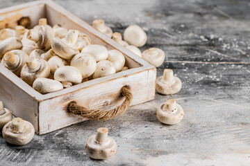Fresh mushrooms on the tray. 
