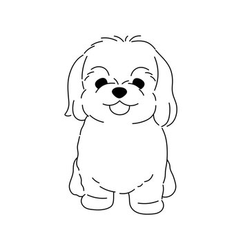 Vector isolated cute cartoon funny smiling sitting shaggy small lapdog dog puppy malteze  colorless black and white contour line easy drawing