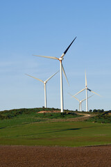 wind turbine in the field