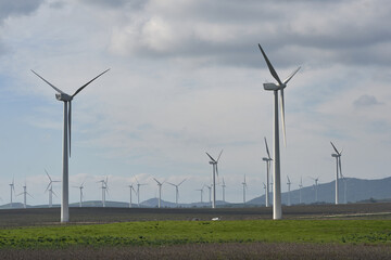 wind turbine in the field