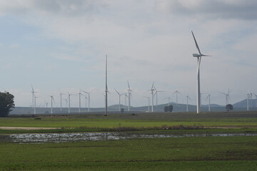 wind turbines farm