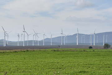 wind turbine in field