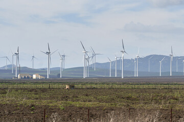 wind farm in the field