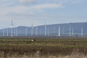 wind turbines farm