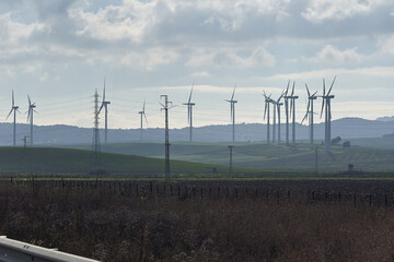 wind turbines farm