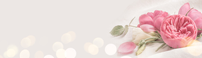 Pink Rose Flowers on Light Grey Background with Romantic Bokeh Lights. Wedding, Mother´s Day or...