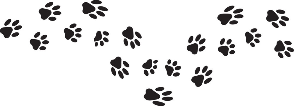 Paw  foot trail print of cat. Dog, puppy silhouette animal diagonal tracks.