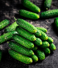 Ripe little cucumbers on the table. 