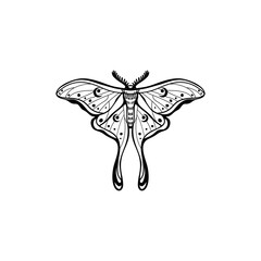 Luna Moth with Lilith's symbol on her wings. luna moth, moon moth. Geometric vector symbol with luna moth - obrazy, fototapety, plakaty