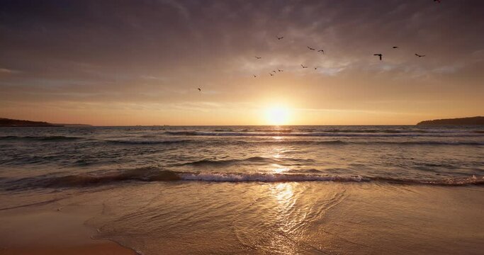 Tropical caribbean beach sunrise with sea waves and flying birds 4k Video