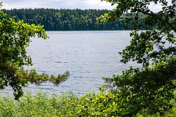 Beautiful forest lake nature scenery. Natural green leaves frame vignette of the trees branches on the coast of Asveja lake in Asveja Regional Park in Lithuania.