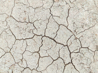dried land