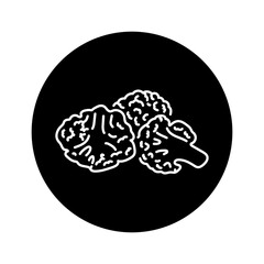 Cauliflower color line icon. Natural vegetable.