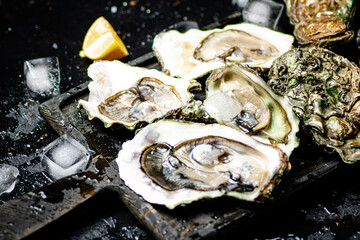 Raw oysters with ice on an cutting board. 