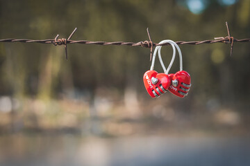 Master key heart shape hanging on barb wire, love valentine concept