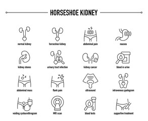 Horseshoe Kidney symptoms, diagnostic and treatment vector icon set. Line editable medical icons.