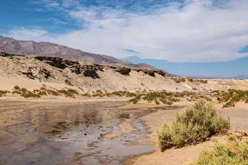 Salt Creek, Death Valley NP